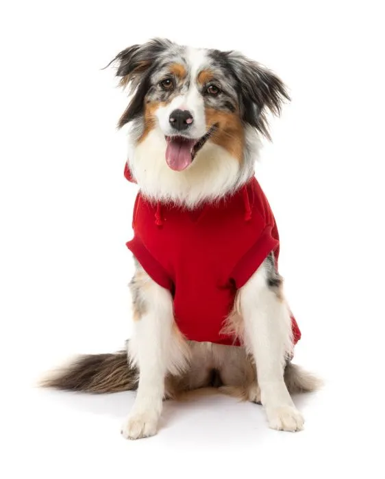 FUZZYARD YARDSTERS HOODIE