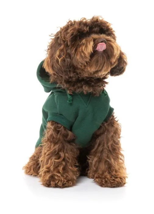 FUZZYARD YARDSTERS HOODIE
