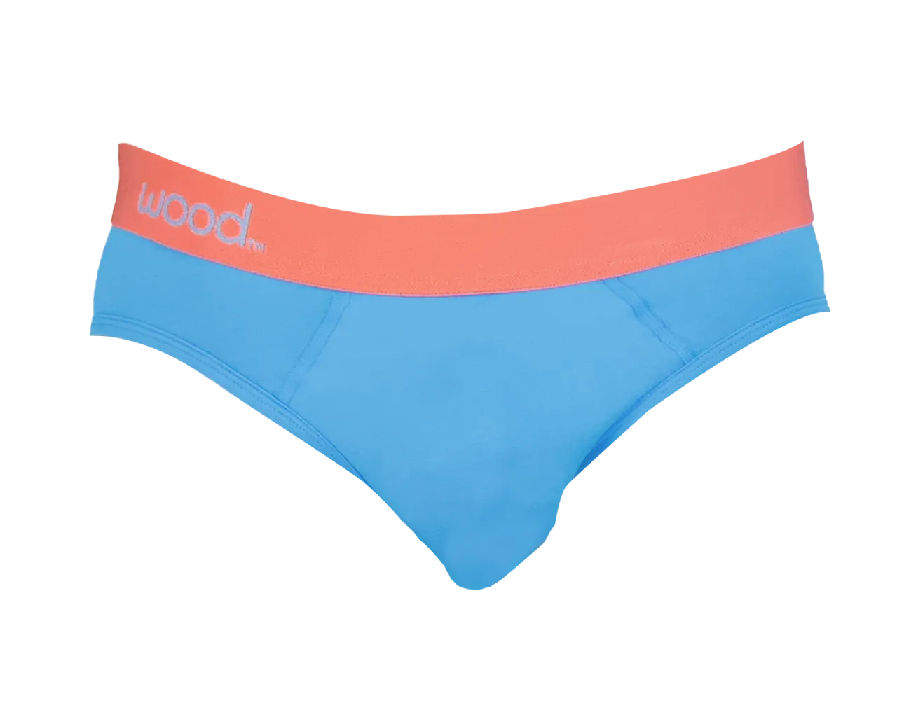 Hip Brief in Malibu by Wood Underwear